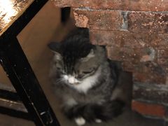 -酒友老火锅(渝中店)