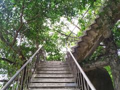 -鸿山公园