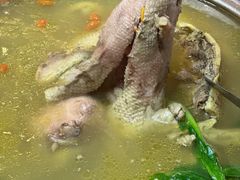 -丁老爷子苏香圆