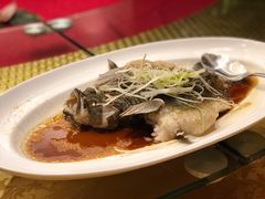 -王宝和酒家(黄浦店)