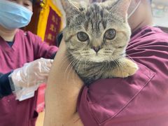 -宠颐生中康贝怡动物医院