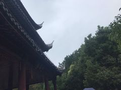 -白马涧龙池景区