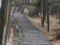 -火炉山森林公园