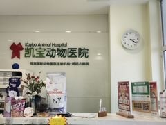 -悦宠凯宝动物医院·牙科·皮肤科(朝阳北路店)