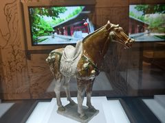 -衢州市博物馆