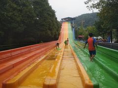 -重庆海昌加勒比海水世界