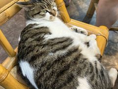 -铜瓢江湖兔火锅(水碾河社区店)