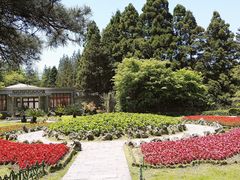 -庐山风景区花径公园