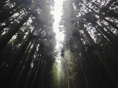 -山王坪喀斯特国家生态公园