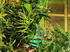 -火舞泰·泰式海鲜火锅餐厅(世纪城店)