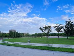 -南汇新城城市公园