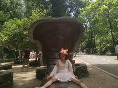 -贵州森林野生动物园