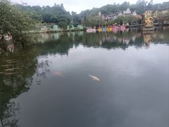 -深圳东部华侨城茵特拉根酒店