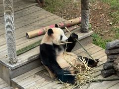 -大连森林动物园