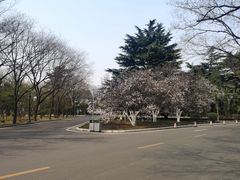 -济南南郊宾馆