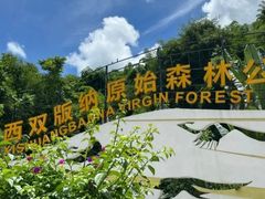 -西双版纳原始森林公园