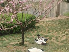 -木塔寺遗址生态公园