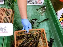 -海鮮寿司とれとれ市場