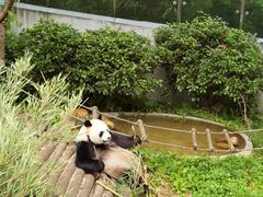 -黔灵山公园