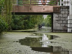 -洛阳市隋唐城遗址植物园