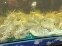 -乐在集市海鲜大排档(平潭店)