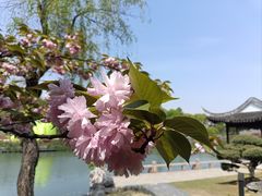 -盘门景区