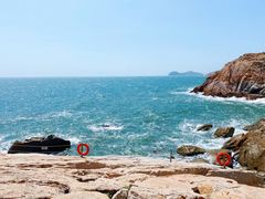 -广东惠东海龟国家级自然保护区