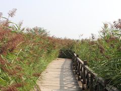 -野鸭湖国家湿地公园