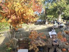 -HERRE·FARM 赫尔露营农场·团建聚会包场