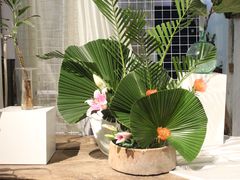 -蓝山四季西餐植物店