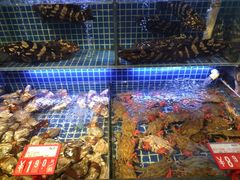 水产区-必点海鲜·鲅鱼水饺(鞍山西道店)