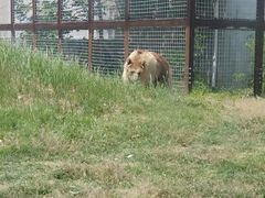 -祥源·阜阳生态乐园