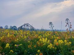 -三圣花乡旅游区