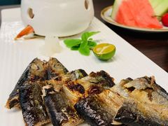 -黑松白鹿(金融街店)