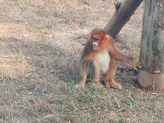 -杭州野生动物世界