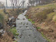 -羊山湖公园