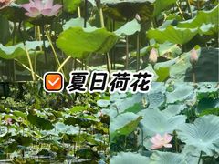 -厦门园林博览苑