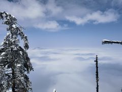 -瓦屋山景区