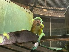 -萌宠奇缘