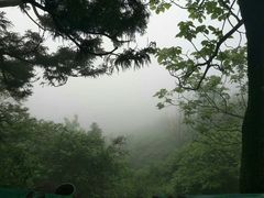 -南岳衡山风景名胜区