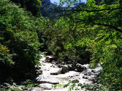 -青峰峡国家森林公园