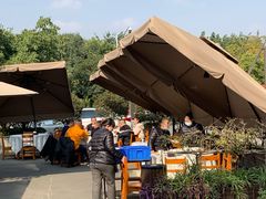 -高坎一品甲鱼庄(两河店)