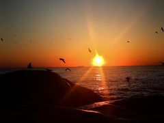 -老虎石海上公园