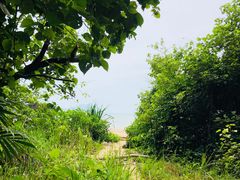-巴哥国家公园