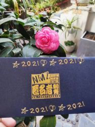 -匿名者纹身学院派·刺青