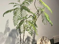 -袁妈红豆汤(重庆总店)