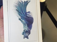 -Apple 零售店(Causeway Bay)