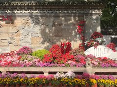 -上海醉白池公园