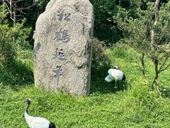 -杭州野生动物世界