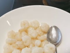 -一品粤珍轩(吴中路店)